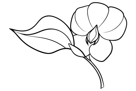 recommend clip art: sweet pea flower line art silhouette vector illustration