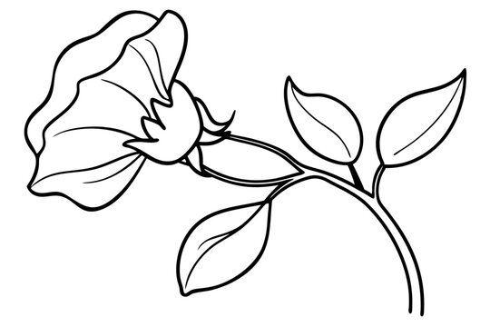 black and white flower and leaves clip art preview