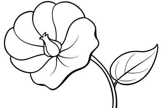 recommend clip art: sweet pea flower line art silhouette vector illustration