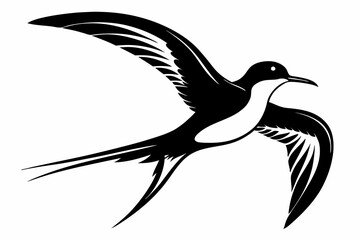 tropicbird line art silhouette vector illustration
