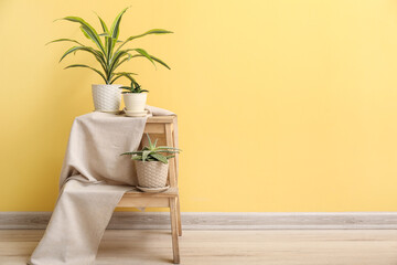 Stepladder with green houseplants near yellow wall in room