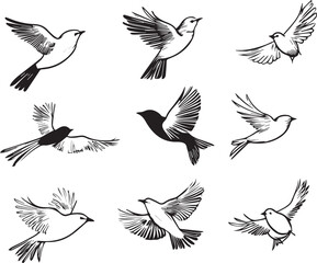 Set of vector birds black and white