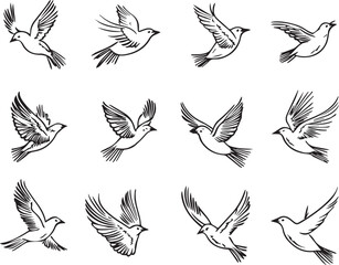 Sparrow Birds line icons isolated