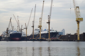 Fototapeta premium cranes in harbor