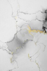 Obraz premium Original artwork photo of marble ink abstract art. High resolution photograph from exemplary original painting. Abstract painting was painted on HQ paper texture to create smooth marbling pattern.