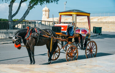 Valletta, Malta A horse drawn taxi or Karozzin with tourists. A phaeton waiting for tourist customers in Malta.