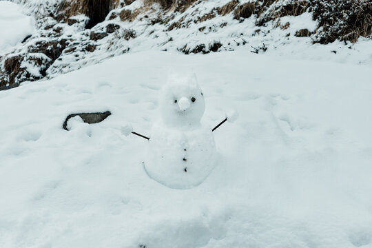 Charming snowman in wintery landscape