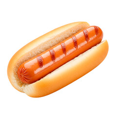 delicious hot dog with sausage
