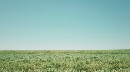 Lush Green Field Beneath a Bright Blue Sky Evoking Peacefulness