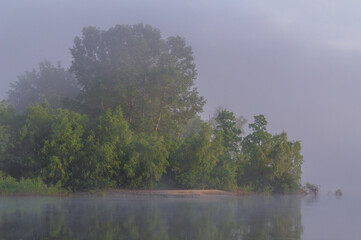 misty morning on the river and wood