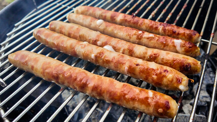 Grilled sausages on barbecue grill, savory outdoor cooking, summer picnic, BBQ party celebration food