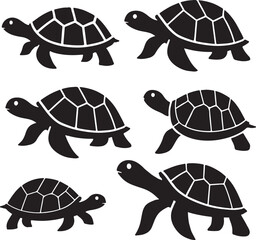 the art of turtle silhouette victor design image isolated on the white background.