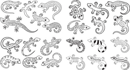 Hand drawn gecko illustration
