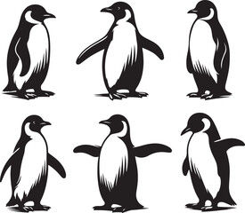 Obraz premium the art of penguin silhouette victor design image isolated on the white background.
