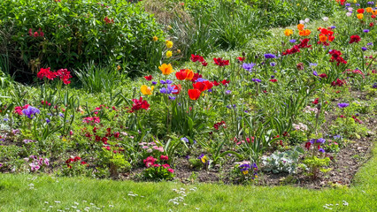 Colorful spring flowers blooming in a garden, symbolizing rebirth and Easter celebrations, seasonal beauty