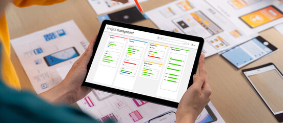 Project planning software for brisk business project management on the computer screen showing...