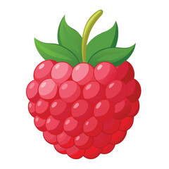 raspberry isolated on white