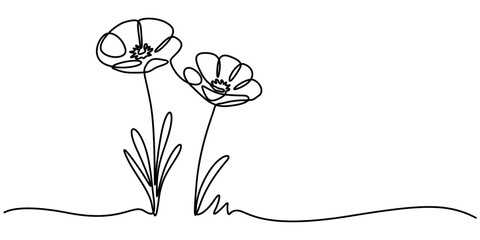 Poppy, Remembrance Day or Veterans Day Continuous Line Drawing with Editable Stroke and Copy Space, Abstract one line continuous poppy flower drawing in minimal style, Poppy flowers in continuous line