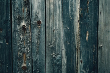 Fototapeta premium Aged weathered wooden planks with blue-green textures and knots