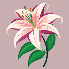 Pink Lily Flower Bouquet in a Floral Vector Design