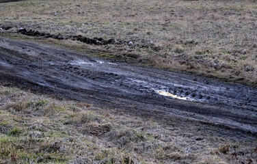 dirt road in meadow with puddles and tire tracks