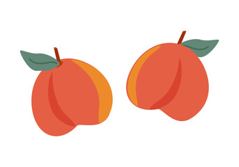 Ripe fruits peaches with leaves on a white background - vector illustration, design element for labels, packaging, website