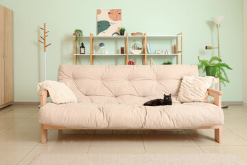 Cute black cat lying on beige sofa in living room