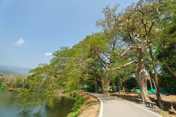 Fototapeta premium a public place leisure travel landscape lake views at Ang Kaew Chiang Mai University and Doi Suthep nature forest Mountain views spring cloudy sky background with white cloud.