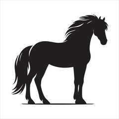 Obraz premium black silhouette of a standing horse