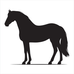 Obraz premium black silhouette of a standing horse