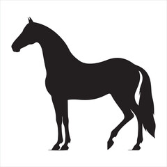 Obraz premium black silhouette of a standing horse