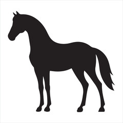 Obraz premium black silhouette of a standing horse