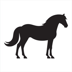 Obraz premium black silhouette of a standing horse