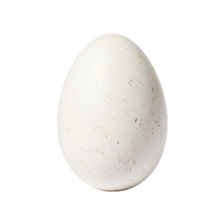 Obraz premium Fresh chicken egg isolated on white background featuring a flawless smooth shell