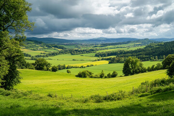 Obraz premium There is a field with a stone wall and a stone wall in the middle