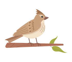 Crested lark on a branch. Minimalist vector illustration. Isolated on white background.