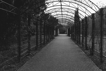 Serene walkway beneath a metal archway surrounded by greenery on a cloudy day in an urban park