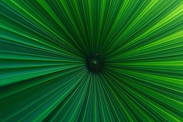 Tropical Green Palm Leaf Texture Close-Up of Natural Beauty