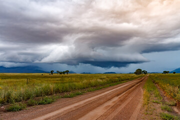 Looming Thunderstorm