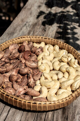 organic cashew nuts in cambodia farm