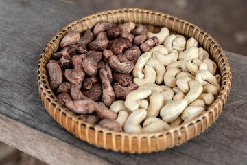 organic cashew nuts in cambodia farm