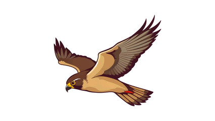 Fototapeta premium Flying Hawk Vector Illustration on transparent background 