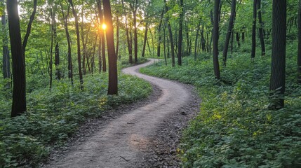 Naklejka premium Winding Forest Path at Sunset