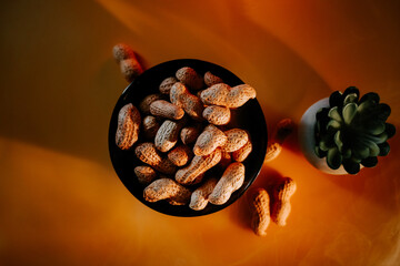 Nuts and plants create a cozy atmosphere in a sunlit setting with natural elements on display