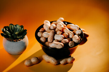 Bowl filled with fresh peanuts and a succulent plant on a vibrant yellow background creates a warm atmosphere