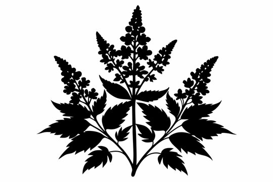 black plant silhouette on white background clip art preview