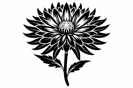 black and white chrysanthemum flower on white clip art preview