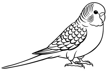 Fototapeta premium budgerigar line art silhouette vector illustration