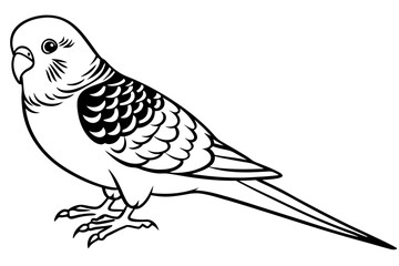 budgerigar line art silhouette vector illustration
