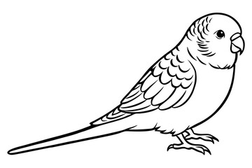 budgerigar line art silhouette vector illustration